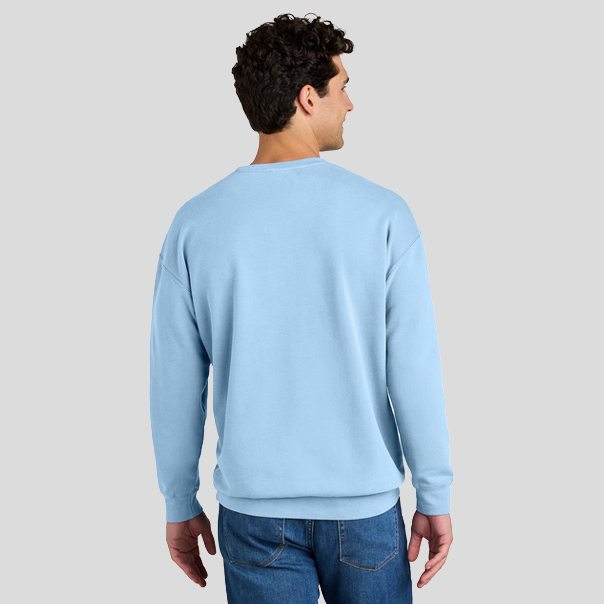 Lightweight Crewneck Sweatshirt | Hydrangea