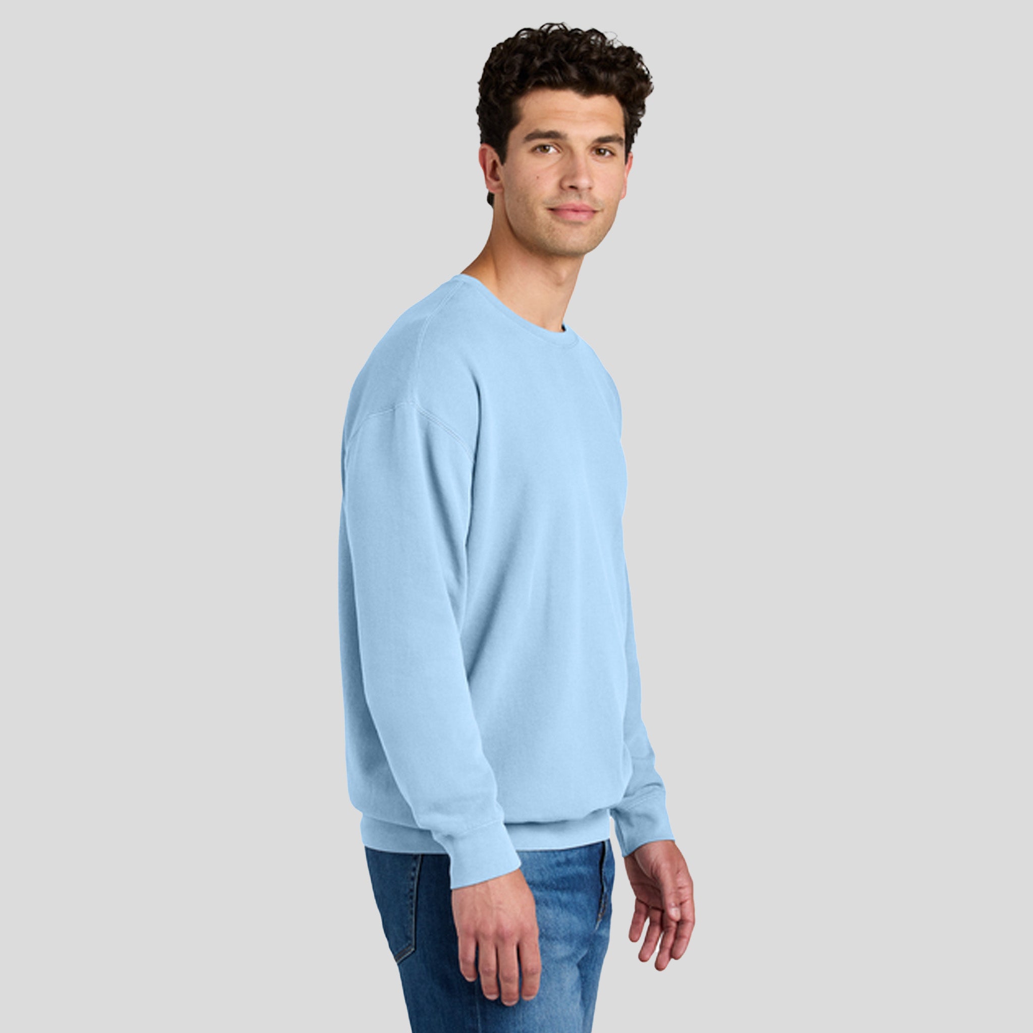 Lightweight Crewneck Sweatshirt | Hydrangea